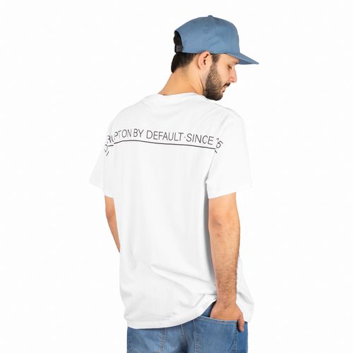 REMERA RUSTY AMERICAN F HOMBRE